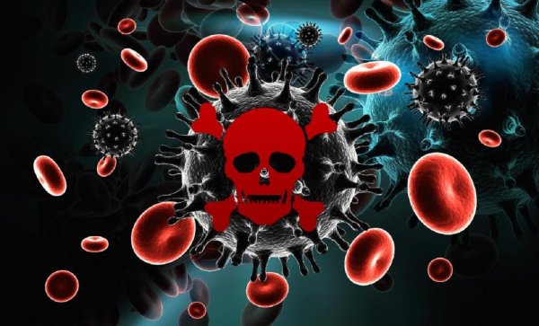 Опасные вирусы