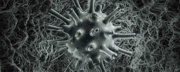 Микрофотография вируса коронавирус