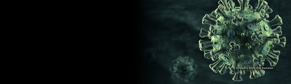 Коронавирус Covid-19