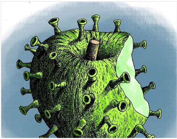 Коронавирус с короной