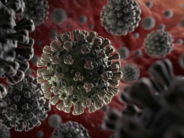 Коронавирус фото