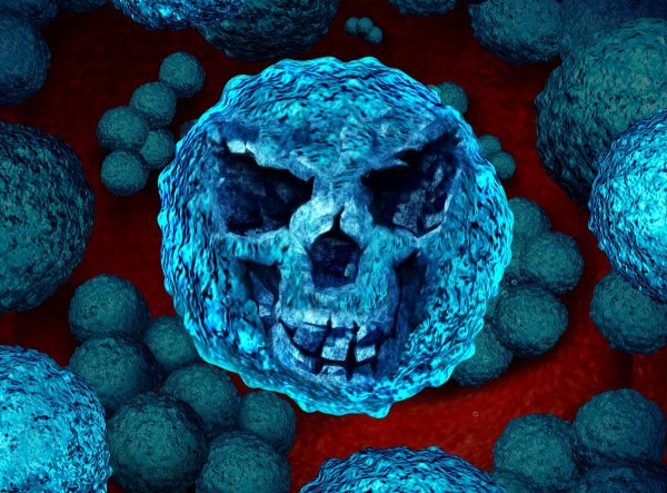 Бактерия Синтия и коронавирус сода