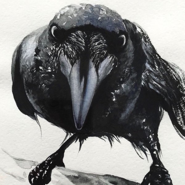 Страшные вороны