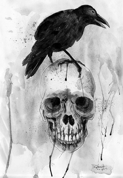 Ворон на черепе