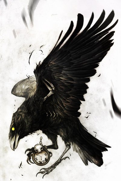 Ворон эскиз