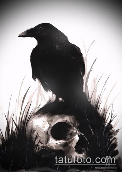 Ворон на черепе