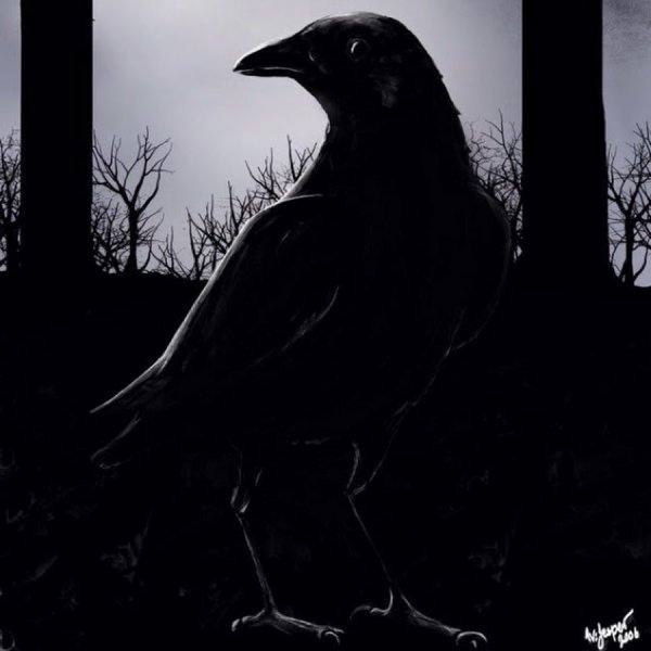 Ворон мистика