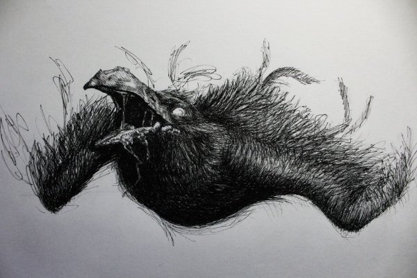 Вороны монстры блод Борн