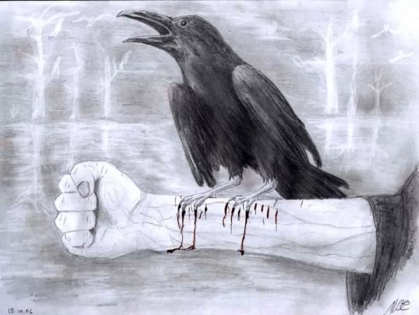 Рисунок ворона для срисовки