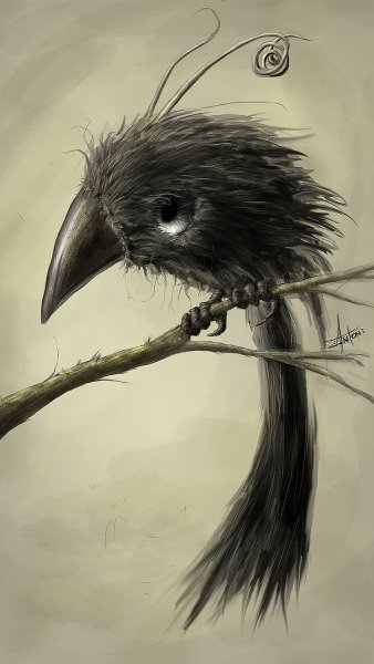 Страшная ворона