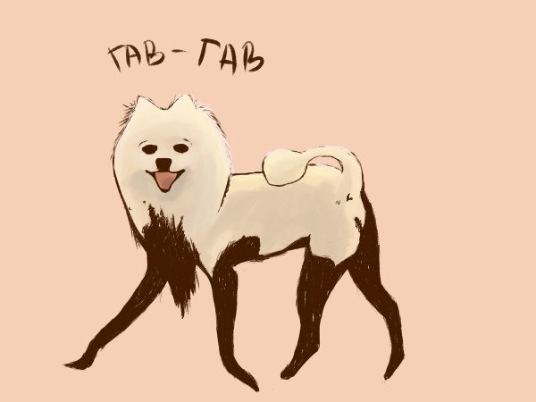 Шпиц твоих кошмаров