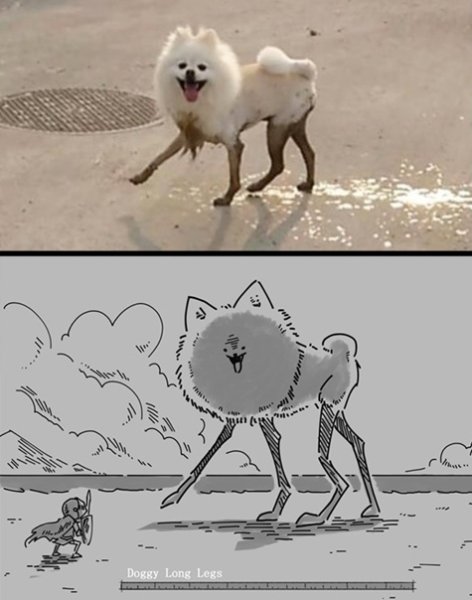 Собака с длинными ногами Мем