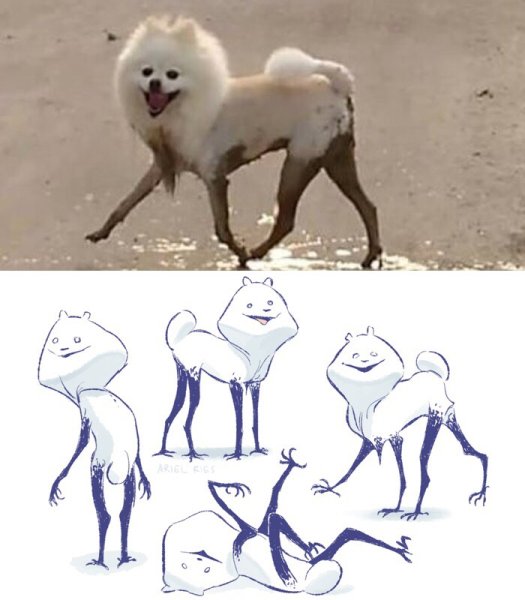 Криповый шпиц твоих кошмаров