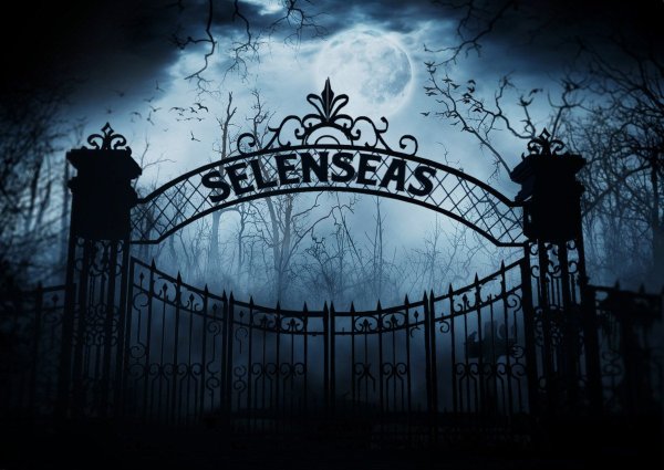 Ворота на кладбище