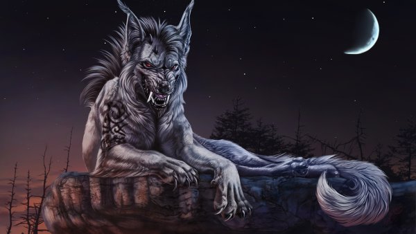 Рлим Шайкорт