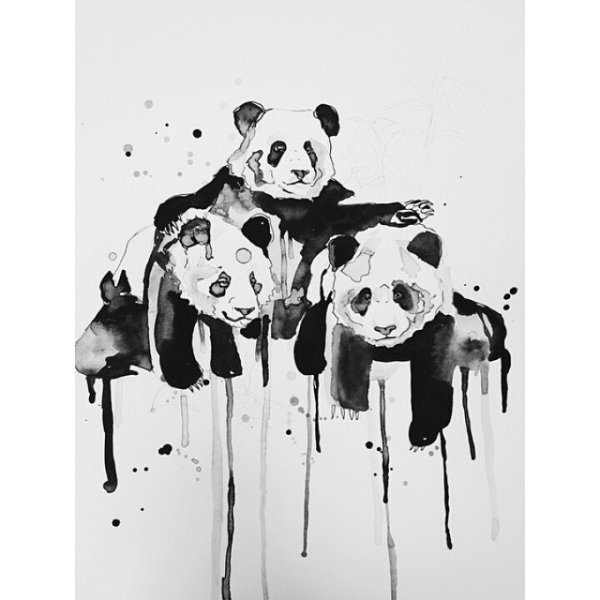 Панда арт четкие линии