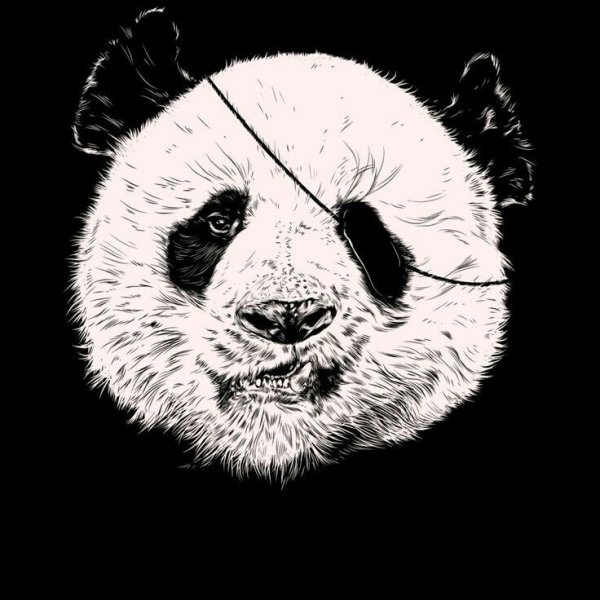 Панда на черном фоне