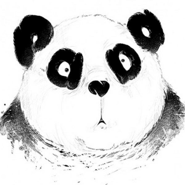 Панда удивление