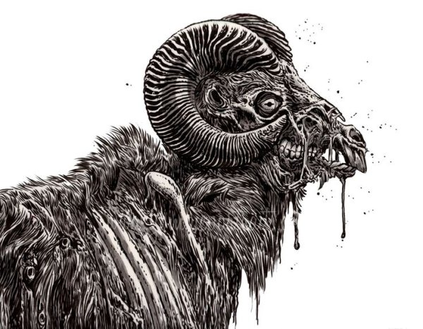 Волк в овечьей шкуре