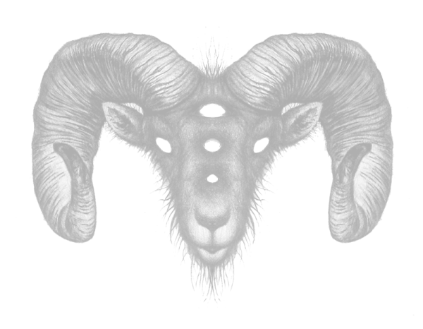 Старая коза