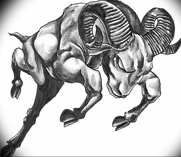 Тату злой баран