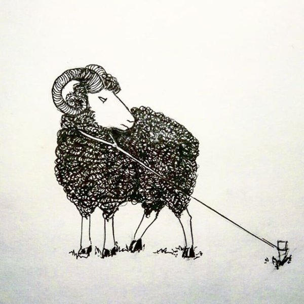 Череп барана