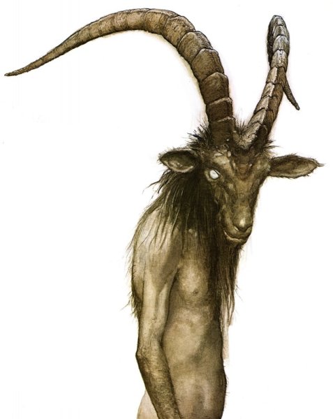 Строение головы барана