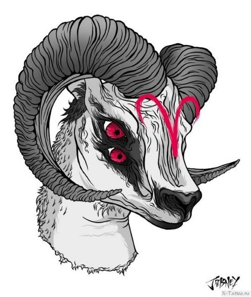 Череп барана