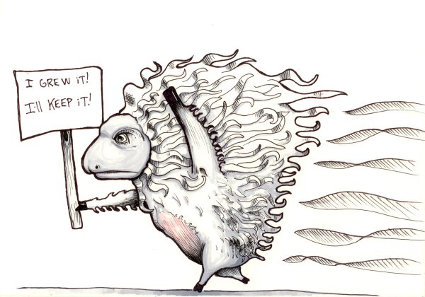 Череп барана