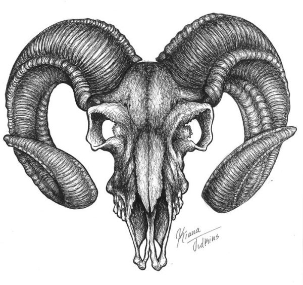 Тату Овен эскизы