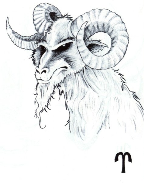 Голова свирепого барана арт