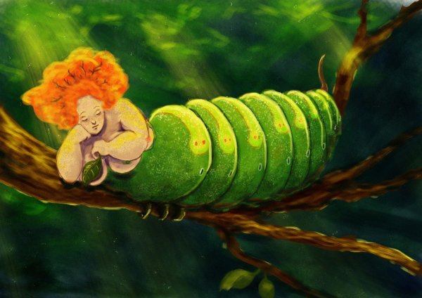 Смешная гусеница