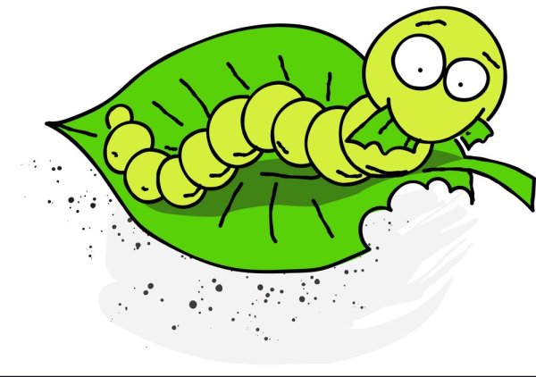 Гусеница картинка для детей на прозрачном фоне