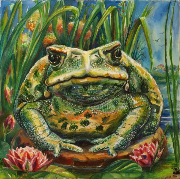 Жаба Владимировна