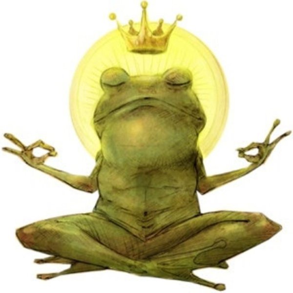 Смешные лягушки