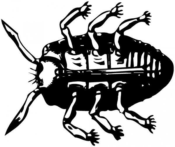 Жуткие рисунки насекомых