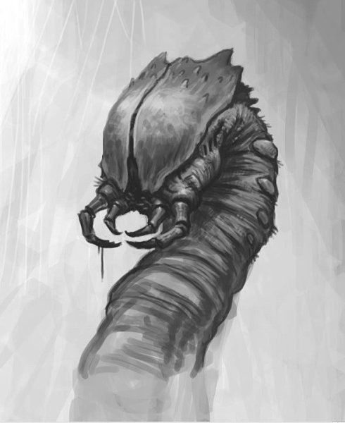 Страшные насекомые рисунок