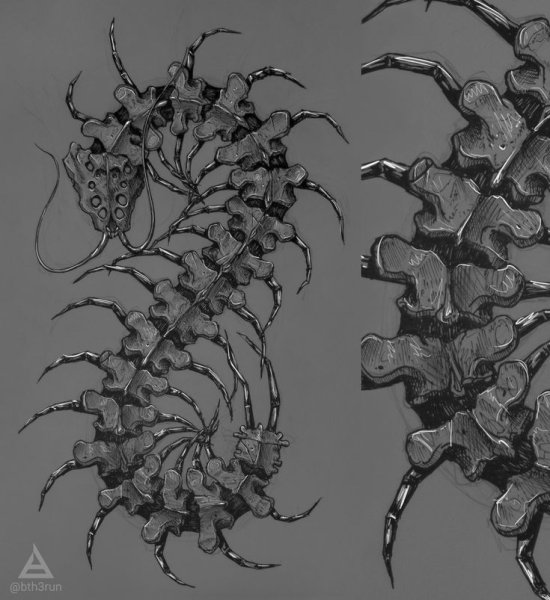 Сколопендра Ведьмак