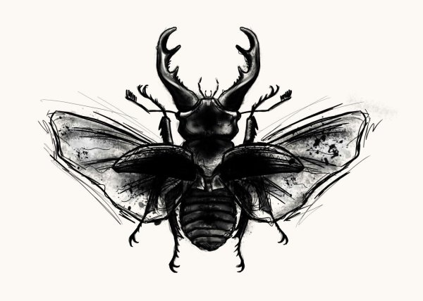 Жук тату эскиз