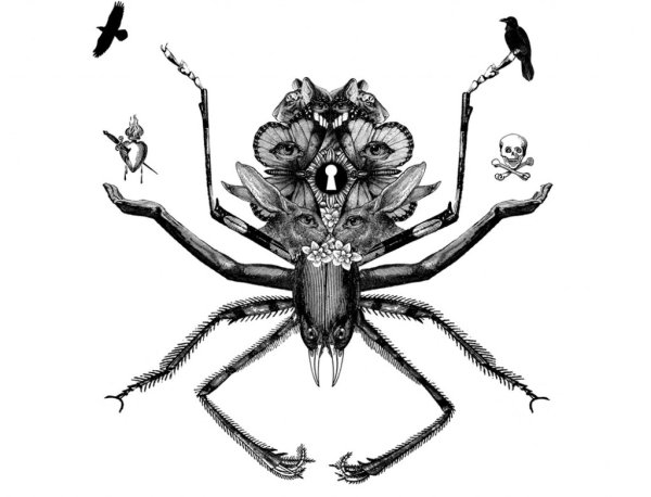 Паук в графике