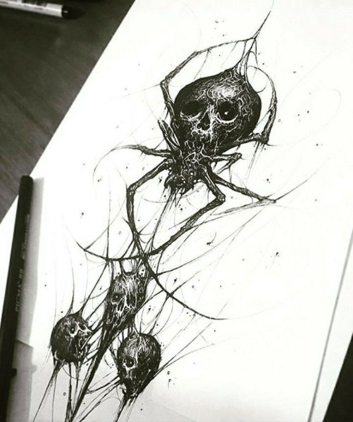 Паук тату Графика