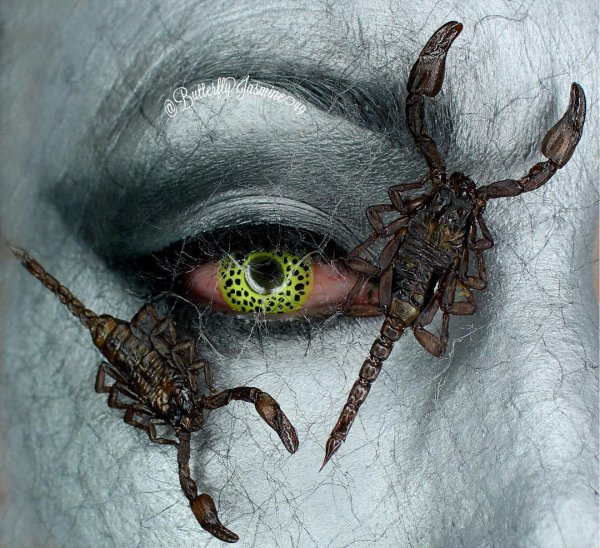 Моль рисунок