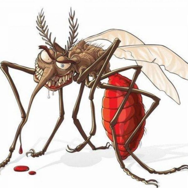 Арахнофобия страх пауков