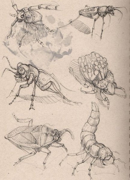 Фантастическое насекомое рисунок