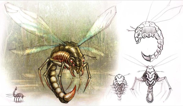 Анатомия сколопендры