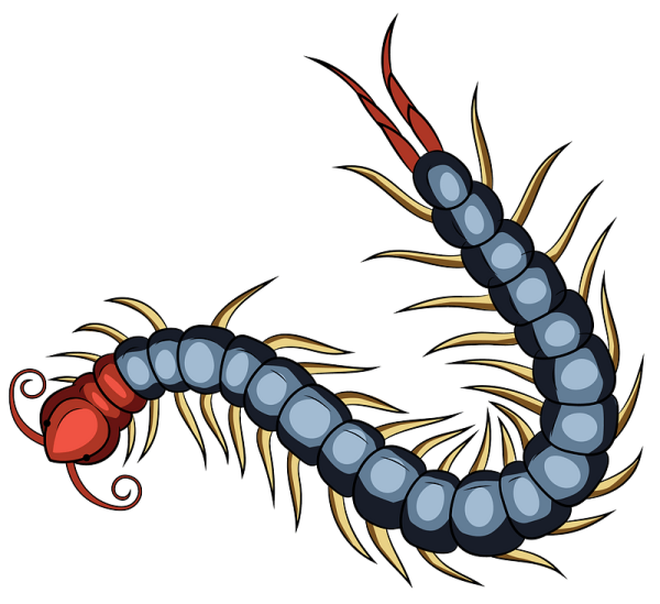 Татуировка Оса эскиз