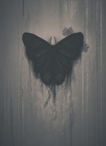 Эстетика черных бабочек