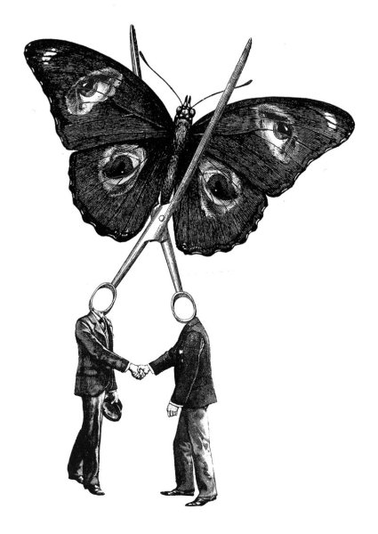 Злая бабочка