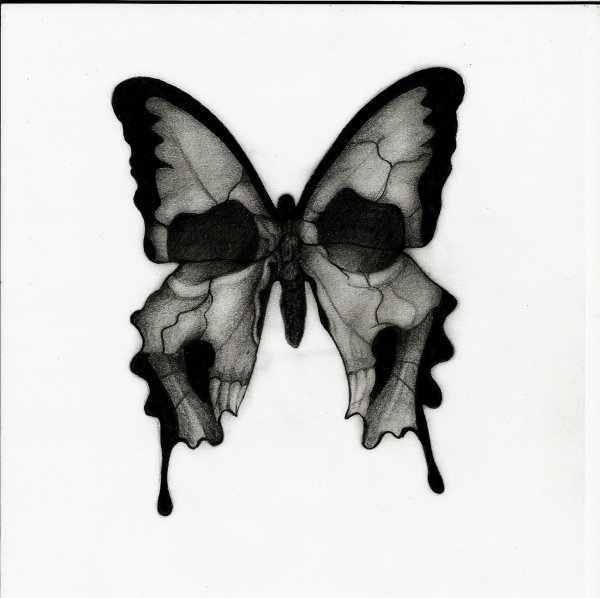 Жуткие бабочки