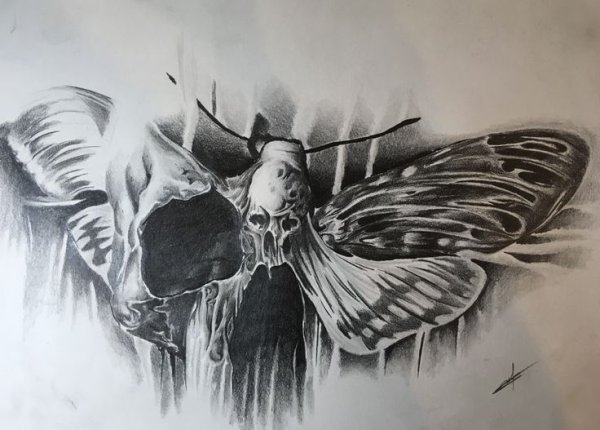 Страшная бабочка рисунок